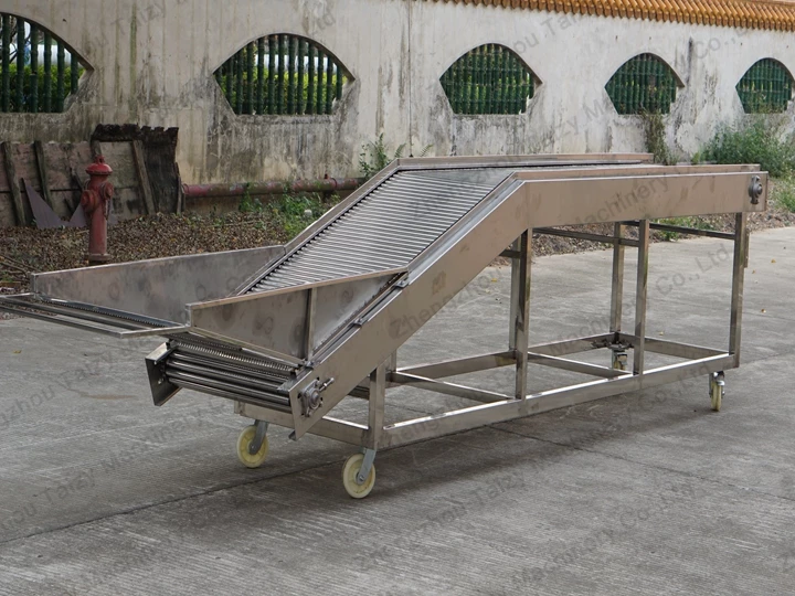 automatic feeder for tomato sorting